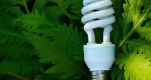 produse ecologice