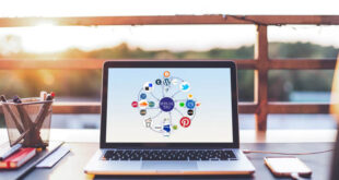 Link Building SEO